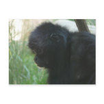 gibbon 2 postcards