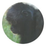 gibbon 2 stickers