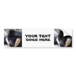 Gibbon Ape Pastel bumper stickers