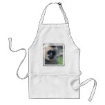 Gibbon Apron