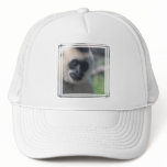 Gibbon Baseball Hat