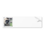 Gibbon Bumper Sticker bumper stickers