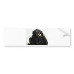 gibbon bumper stickers