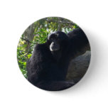 Gibbon buttons