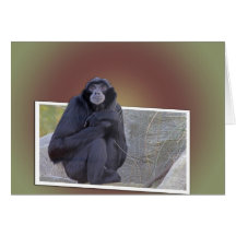 Gibbon cut-out card