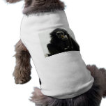 gibbon pet clothing