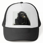 gibbon hats