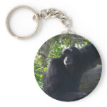 Gibbon keychains