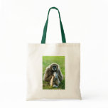 Gibbon, Let's talk about the meaning of life... bags