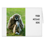 Gibbon, Let's talk about the meaning of life... Card