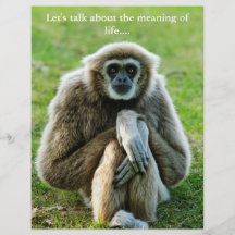 Gibbon, Let's talk about the meaning of life... Flyers