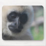 Gibbon Mouse Pad