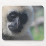 Gibbon Mouse Pad mousepads