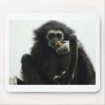 gibbon mousepads