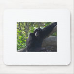 Gibbon mousepads