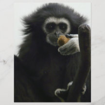 gibbon personalized flyer