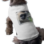 Gibbon Pet Shirt