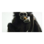 gibbon photo cards