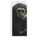 gibbon rack cards