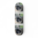 Gibbon Skateboard