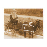 Giddy up, Billy! (sepia) postcards