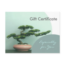 Gift Certificate Template-Flat-Bonsai Circles