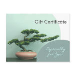 Gift Certificate Template-Flat-Bonsai Circles postcards