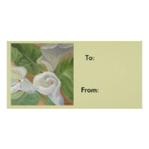 gift label picture card