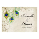 Gift Registry Cards - Peacock Feathers Wedding Set Business Card