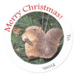Gift Tag -- Squirrel Ornament stickers