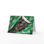 Gift wrapped tortoiseshell cards