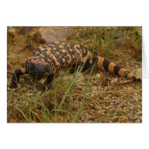 Gila Monster 041a Card