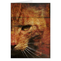 Ginger cat card