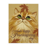 Ginger Cat & Leaves - Postcard
