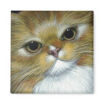 GINGER CAT Magnet
