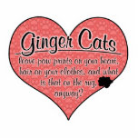 Ginger Cat Paw Prints Humour photo sculptures