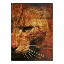 Ginger cat poster posters