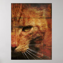 Ginger cat poster
