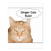 Ginger Cats Rule! Postcards