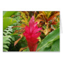 Ginger Flower Card