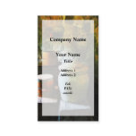 Ginger Jar and Buckets Business Card Templates