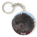Ginger keychains