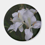 Ginger Lily-0105 Refrigerator Magnet