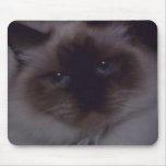 Ginger mousepads