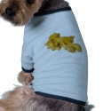 Ginger root pet clothing