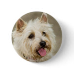 Ginger smiles pin buttons