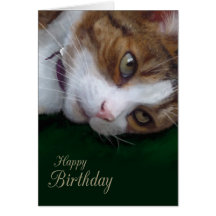 Ginger Tabby Cat Personalizable Happy Birthday Greeting Card