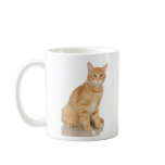 Ginger Tabby mugs