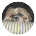 Ginger the Dog stickers