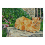 Ginger Tom Cat Cards